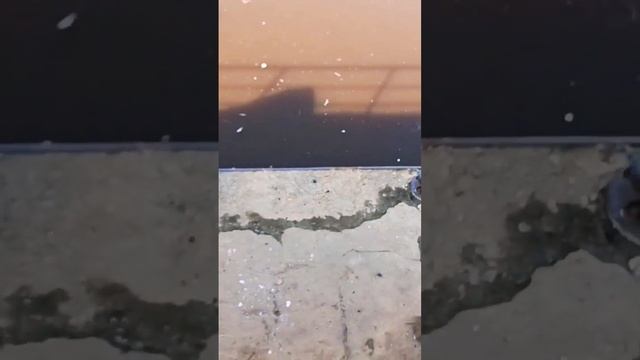 Любэ #любэ #cat #снежинка #рыбалка #nature #новогоднеевидео # смотреть онлайн