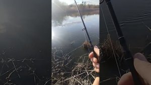 щука в апреле 2025 года, ловля щуки на блесну атом,