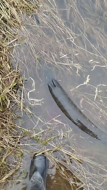 ❗ БАЙКАЛ, БАЙКАЛОМ, а ДОМА ЛУЧШЕ))❗Первые трофеи сезон смотреть онлайн