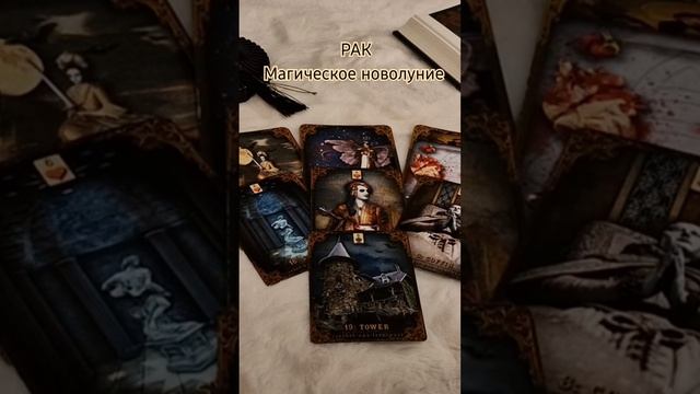 РАК. Магическое новолуние в Скорпионе 1.11.2024. Исполнени