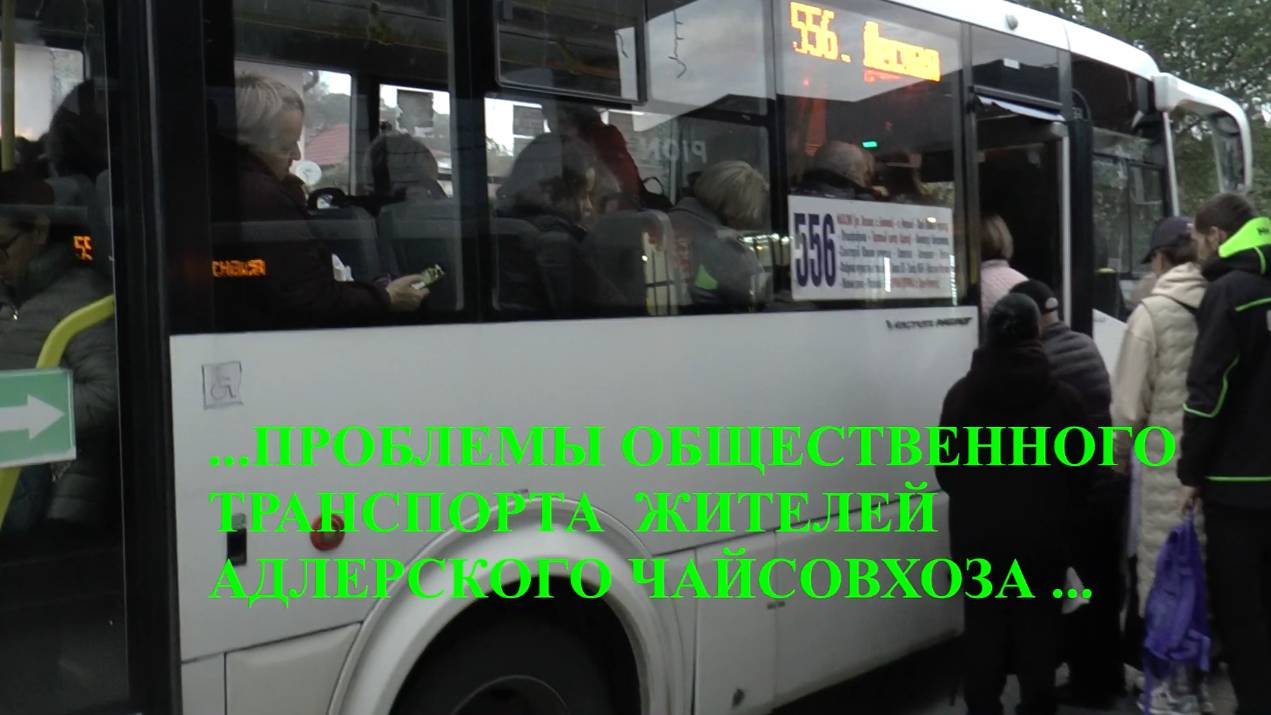 Проблемы общественного транспорта Адлерского Чайсовхоза в г. Сочи... смотреть онлайн