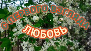 ЛЮБОВЬ С ПЕРВОГО ВЗГЛЯДА!!!