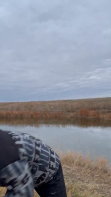 РЕЗУЛЬТАТ УЛОВА ЩУКИ #щуканажерлицы #щука #рыбалка #уд? смотреть онлайн