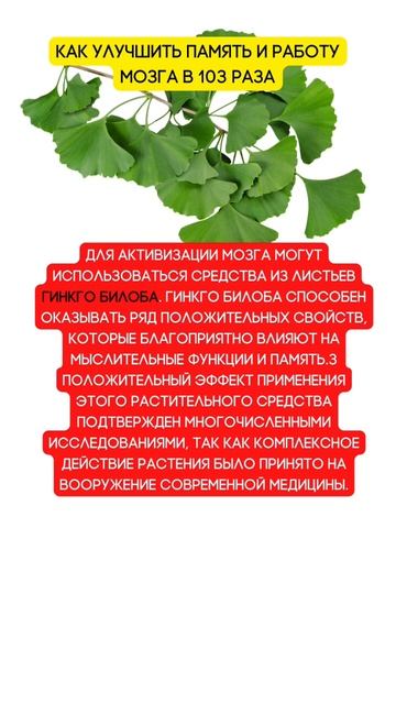 Как улучшить работу мозга и память? #shorts #здоровье #сос? смотреть онлайн