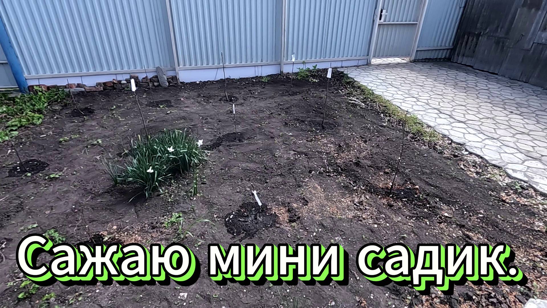 Посадка мини сада