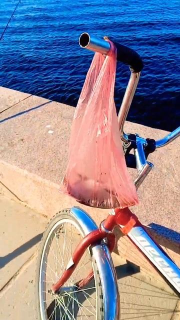 хороший подлещик Карелия Онега рыбалка