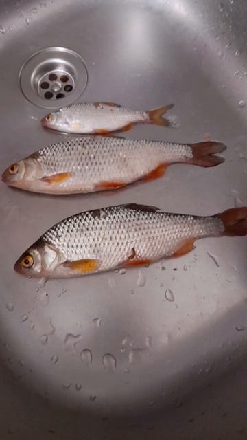 тот год был насыщенным,в этом году будет только лучше#? смотреть онлайн