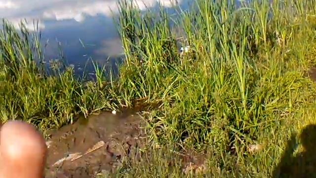 Речка в лагере Пламя