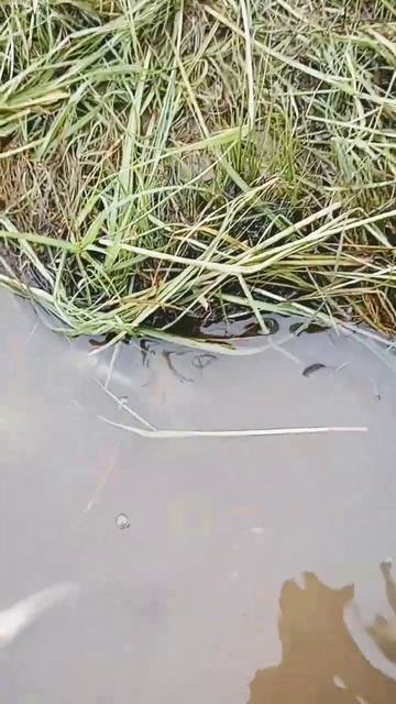 #рыбалка #озероильмень смотреть онлайн