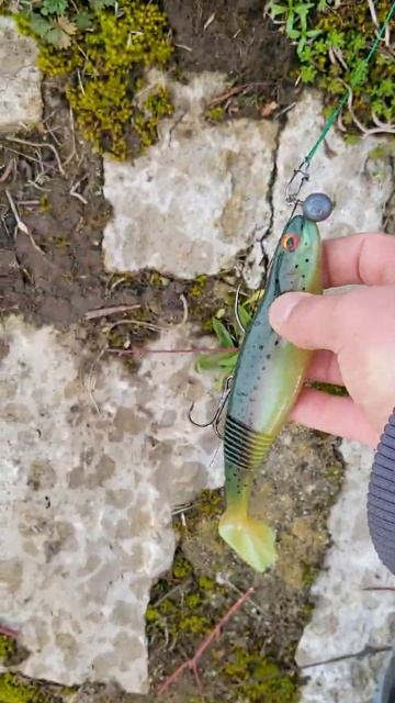 Рыбалка на хищника зимой. 29.12.2022.река Майн. смотреть онлайн