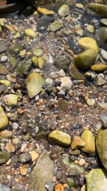 Морской берег смотреть онлайн