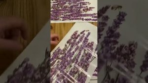 Трансфер натирка большой для декора мебели REDESIGN DÉCOR TRANSFERS®