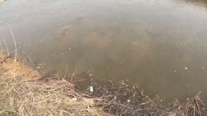 рогатка , река  и немного безумия