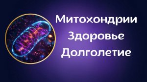 Лекция по митохондриальному здоровью врача эндокринолога