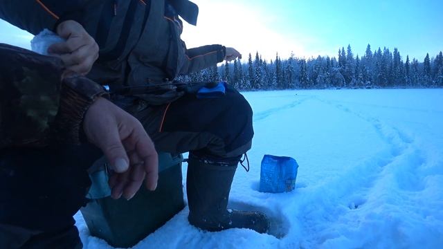 в избушку на снегоходе с рыбалкой. 12.11.24 г. смотреть онлайн