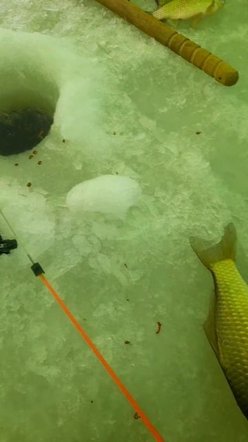 Электронная подставка для зимней удочки смотреть онлайн