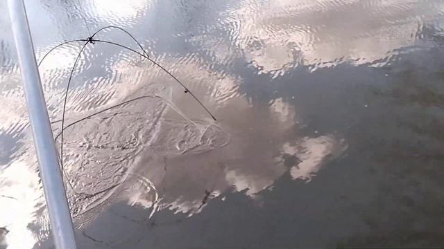 Рыбалка на паук