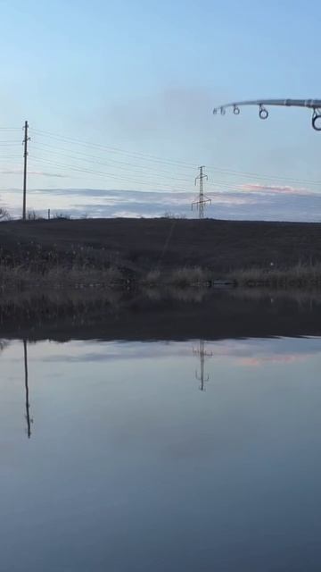 Дальность заброса бюджетного карповика #рыбалка #карп смотреть онлайн