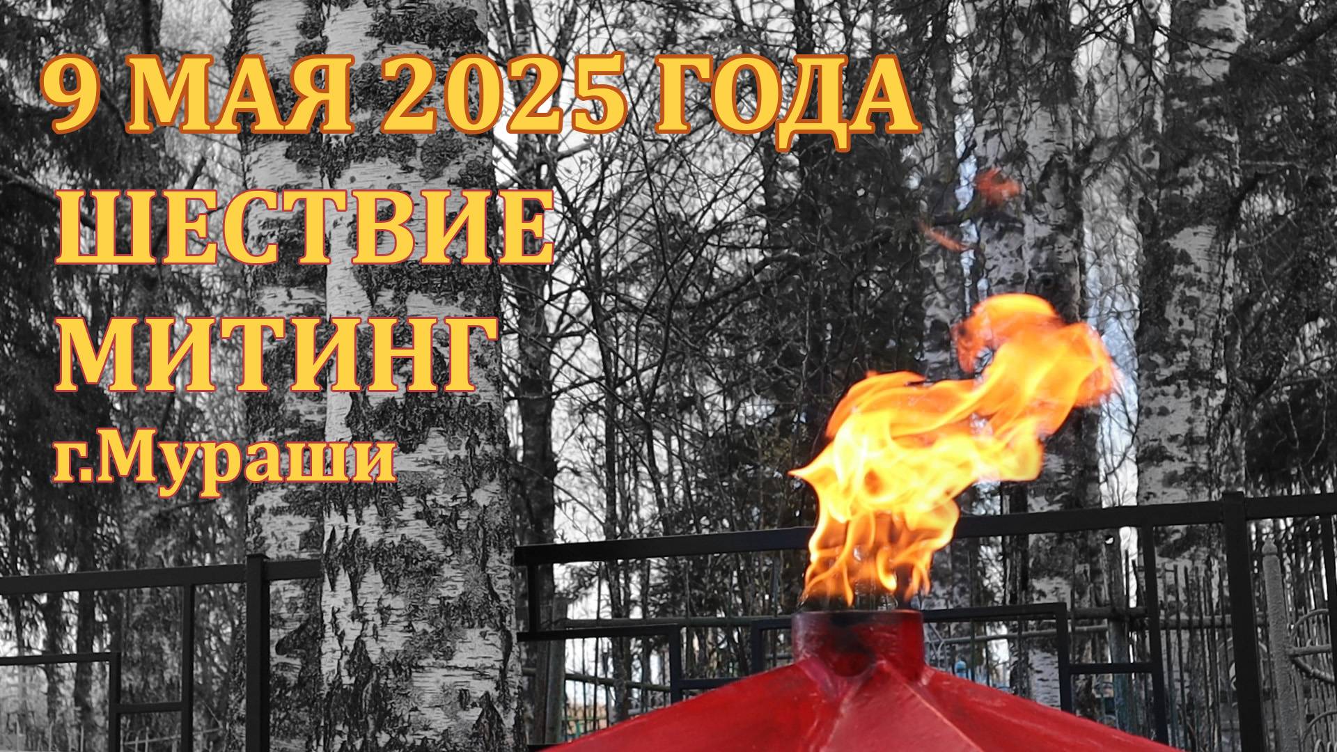 9 мая 2025 года. Шествие и митинг #ДеньПобеды #9мая #Бессмертный полк #80летПобеды #Мураши