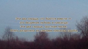 Гоша Матарадзе - ДВА СЕРДЦА | текст песни (lyrics)