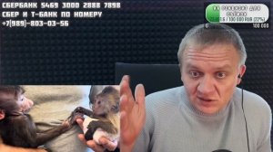 Гамадрил Анфиса - новости из дурки, воскрешение Вади Алексагина, 29 апреля