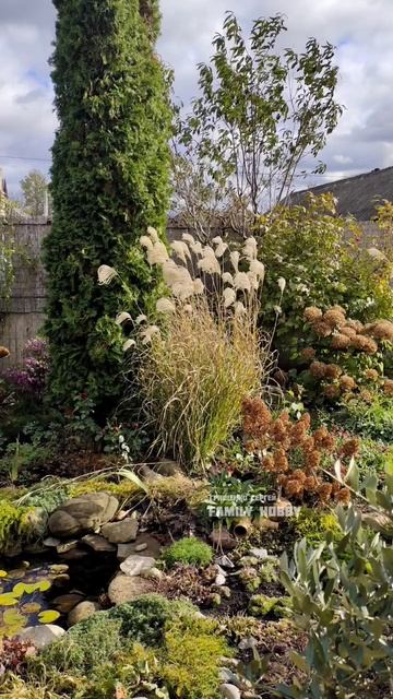 #сад 💐В МИР КРАСОТЫ с нами по ПУТИ 💐Family hobby канал о ЖИ? смотреть онлайн