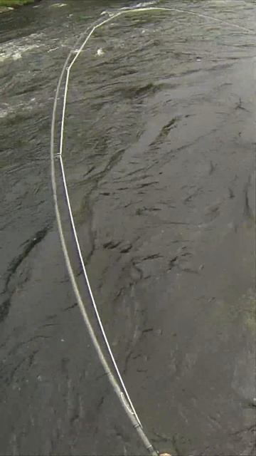 Кольский 2024 Short 6 #кольский #рыбалка #кольскийполуостро смотреть онлайн