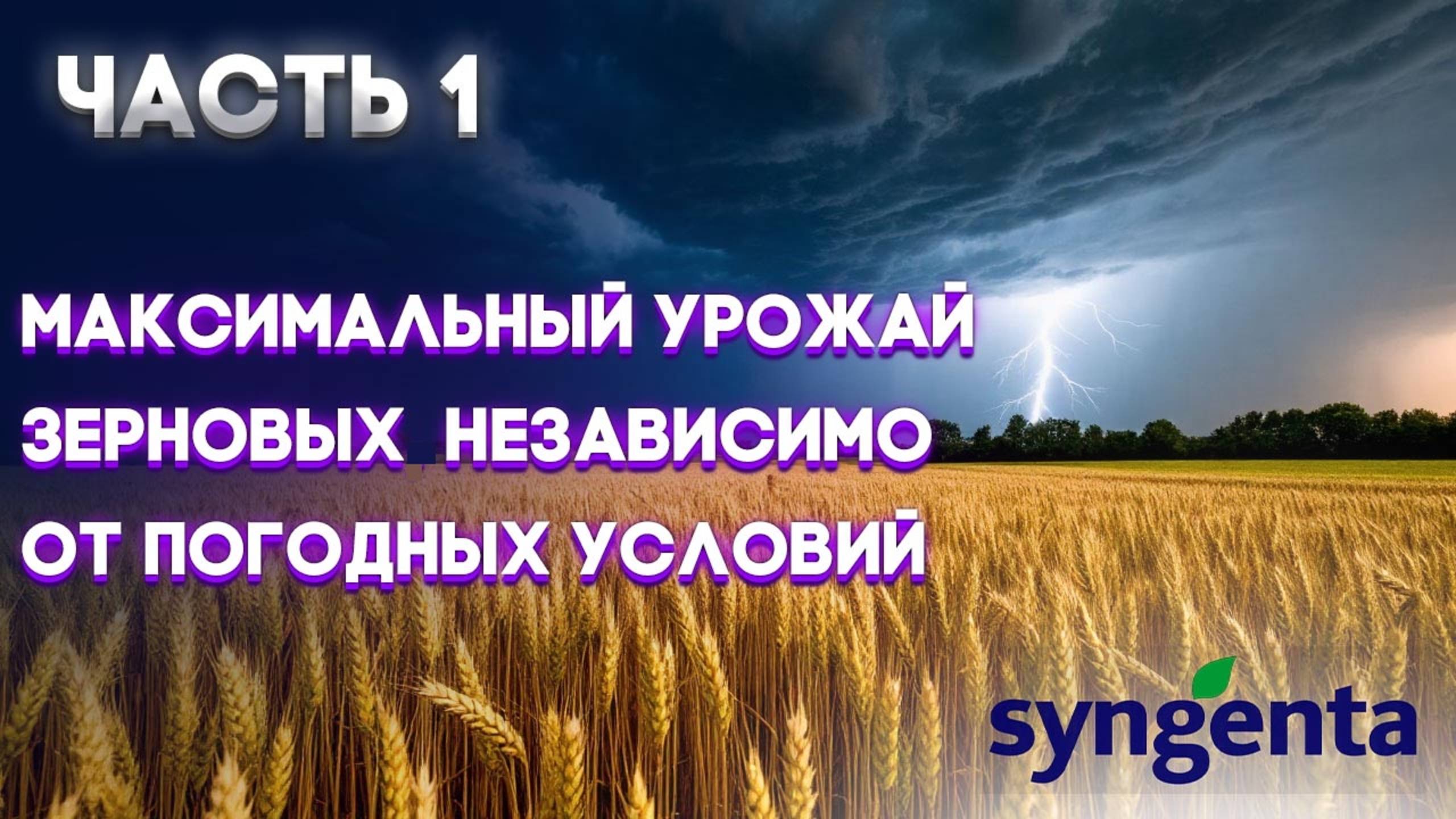 "Высшая школа Агрономии" Зерновых культур | ЗЕРНОВЫЕ ЧАСТЬ 1 | SYNGENTA |