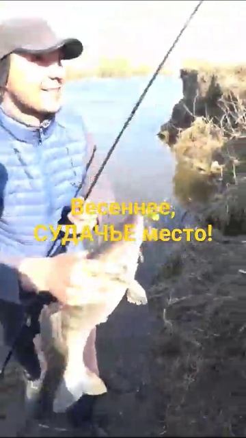 Рыбалка в НОВОСИБИРСКЕ! #рыбалкавновосибирске #рыбалк смотреть онлайн