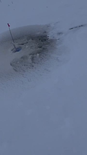 Первый лёд. Дикий клёв щуки. Выпуск на канале. #рыбалка смотреть онлайн