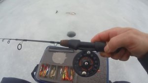 Январское глухозимье  Только этот балансир и ловит ры?