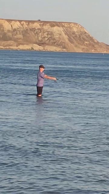 наловили саргана . черное море волна идет сарган смотреть онлайн