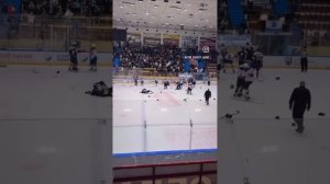 Хоккейная драка
Гранит - Кристал