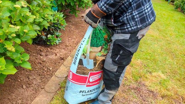 Выходные на садовом участке: Покраска Садового Домика смотреть онлайн