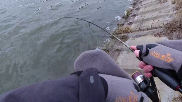❄️судак зимой на микроджиг❄️ #спининг #fishing #рыбалка смотреть онлайн