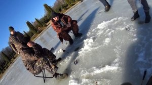 Ловля осетра зимой Прудцы платник с нуля!
