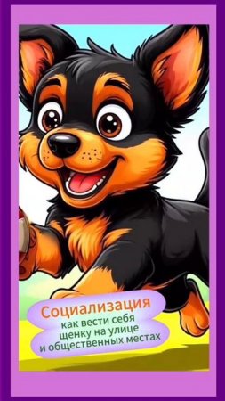 Как научить щенка? Как вырастить щенка? Как воспитать щенка? Как отучить щенка от вредных привычек?