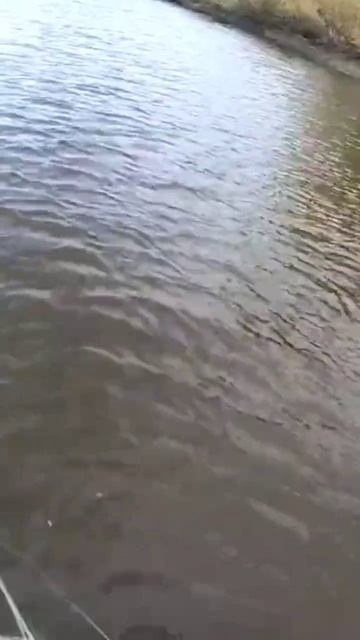 11 февраля 2023 г. смотреть онлайн