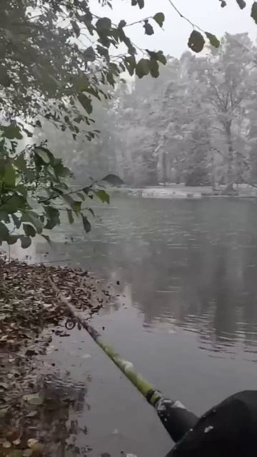 Рыбалка на реке на спиннинг #настольгия #shorts #батя #рыб? смотреть онлайн