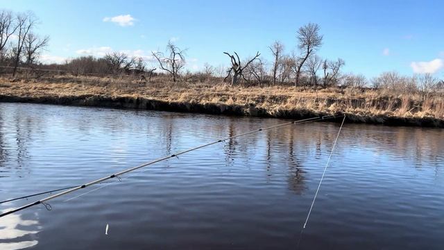 Щука,Судак,Окунь. Рыбалка на хищника. Ловим на реке #щу? смотреть онлайн