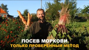 МОРКОВЬ ВЕЛИКАН! ВОТ ПОЧЕМУ У МЕНЯ ВСЕГДА КРУПНАЯ И РОВНАЯ – СЕКРЕТ ПОСЕВА, КОТОРЫЙ РАБОТАЕТ НА 100%