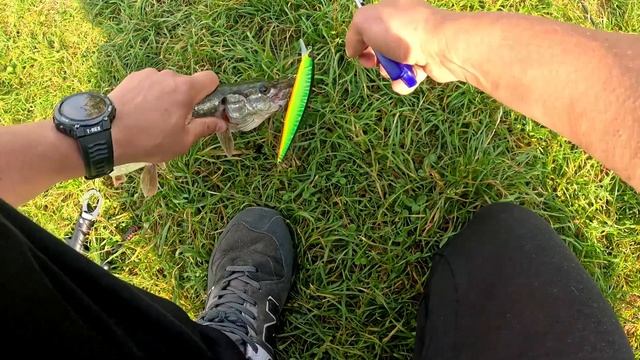 Щука и карп на воблер. Съёмка на Go Pro. смотреть онлайн