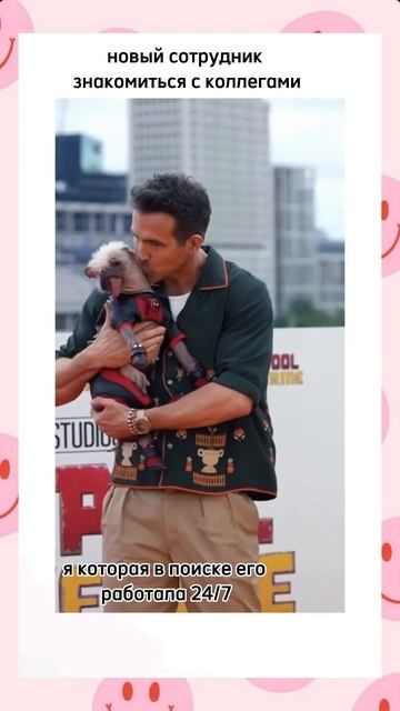 recruitment hr офис it sql swift java рекрутер работа hhru linkedin h