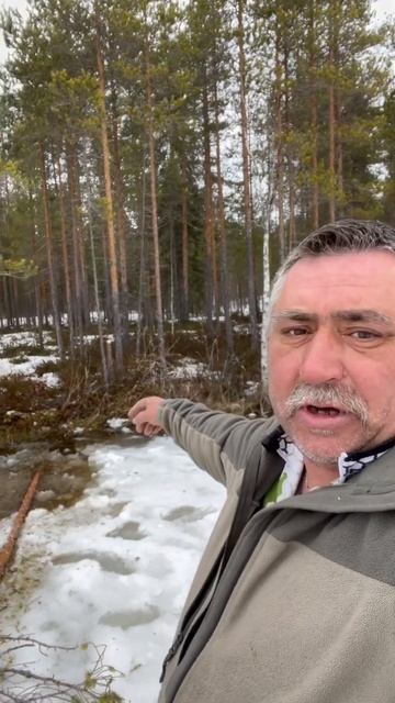 Опасный лёд #youtubeshorts #рыбалка #карелияжизнь смотреть онлайн