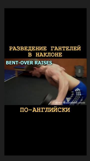 РАЗВЕДЕНИЕ ГАНТЕЛЕЙ В НАКЛОНЕ. Перевод на английский смотреть онлайн
