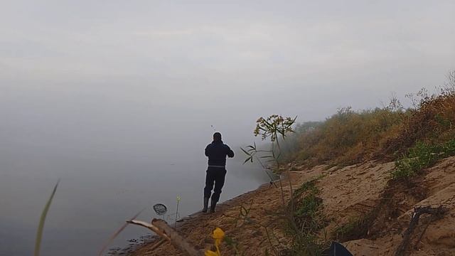 Видеоотчёт о поездке в Пинегу, Архангельская область. смотреть онлайн