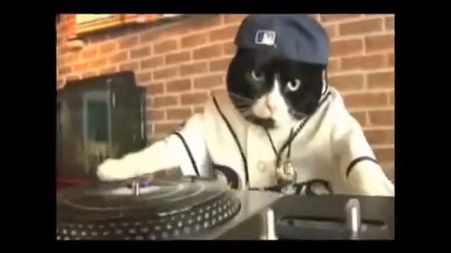 ХипХоп КотЭ смотреть онлайн