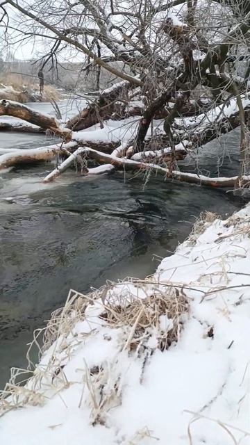 9 февраля р. Дон, д Татинки. Река открыта но не везде смотреть онлайн