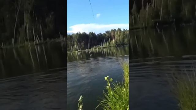 И вправду силён🔥🔥🔥 https://t.me/ domiknavolge777 #карась #fishing #от смотреть онлайн