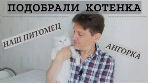Подобрали на улице умирающего котенка. Не бойтесь спасать бездомных животных.